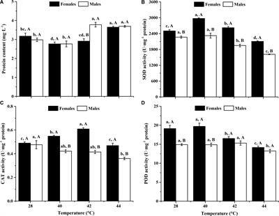 Antioxidant Responses of Ragweed Leaf Beetle Ophraella communa (Coleoptera: Chrysomelidae) Exposed to Thermal Stress